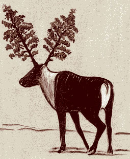 CRISSCROSSED BRANCHED HORNS IN AIPO